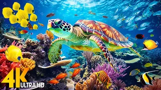 Под Красным морем 4K - Красивая рыба кораллового рифа в аквариуме, морские животные для отдыха