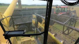 Märkää ja onnetonta kauran puintia. / NEW HOLLAND TX62