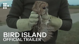 BIRD ISLAND | Official Trailer | Hand-Picked by MUBI