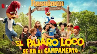 El pájaro loco se va de campamento| resumen de esta entretenida película de nuestro amigo carpintero