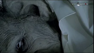 Слон 2011 г (Короткометражка часть 2)