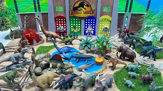 Jurassic World Dinosaur Island | volcano Eruption | Dinosaur Battle Video 공룡섬 화산폭발 쥬라기월드