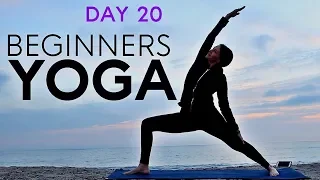 Beginners Yoga Flow (20 min Total Body Workout) Day 20 | Fightmaster Yoga Videos