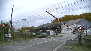 Spoorwegovergang Nemours-Saint-Pierre (F) // Railroad crossing // Passage à niveau