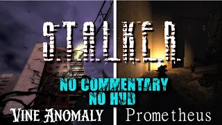 S.T.A.L.K.E.R. No Commentary  (The Vine Anomaly) No Hud - 4K - 60fps - Ultra Wide