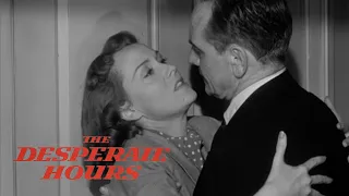 The Desperate Hours Original Trailer (William Wyler, 1955)