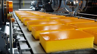 How honey castella cake is made in factory | Castella cake mass production | Cake factory