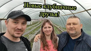 Новые клубничные друзья. Дима из ст.Крыловской