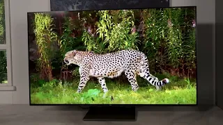 Product Review: TCL 55 Inch C745 4K UHD Premium QLED Smart Google TV 55C745