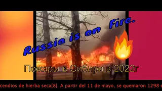 Лесные пожары. Сибирь- 2022 г. Forest fires in Siberia in 2022.