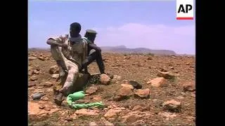ERITREA: TWO ETHIOPIAN AIR FORCE JETS SHOT DOWN: UPDATE