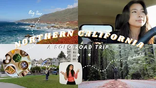 a solo road trip to northern california | travel vlog - big sur, san francisco, humboldt