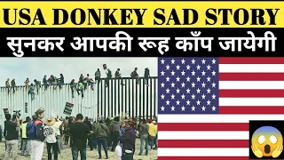 USA DONKEY | Real Sad story of USA Donkey