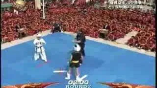 kyokushin vs kung fu