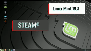 Linux Mint 19.3 and Steam - Play Games on Linux