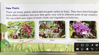 Plants Around Us | EVS Class 3 Chapter 2 | Reading and Explanation | APS