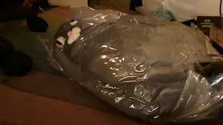 Opening my Noodle the Cat plush