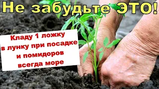 1 Подкормка Томатов  Только так получите большой урожай 100