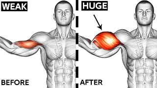 8 Perfect Exercises Bicep Workout At Gym 🎯