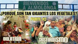VEGETALES GIGANTES DE ALMOLONGA GUATEMALA #2