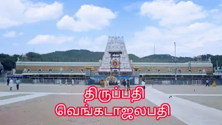 Thirumalai Thirupathi Vlog|# Tirupathy Venkadajalapathy Darshan🙏🙏🙏 |