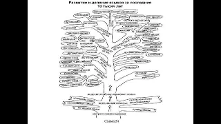 Общее языкознание - 8. Сравнительно-исторический и структурные методы.