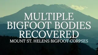 MULTIPLE BIGFOOT BODIES RECOVERED - The Strangest Bigfoot Encounter You've Ever Heard - MBM 116
