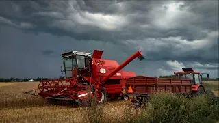 Żniwa  2021 na Pomorzu  z BIZONEM REKORDEM engine sound