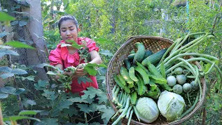 Countryside Life TV: All vegetable are free from vegetable garden / Vegetable dipping sauce recipe