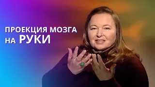 Ваши руки могут многое рассказать. Энергия пальцев рук с точки зрения Ритмологии