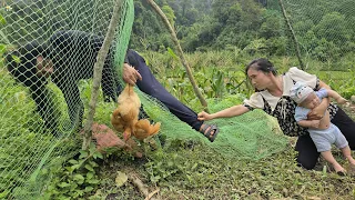 Harvest peanuts to sell. Thieves visited my house | Mụi Muội - My life