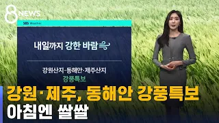 [날씨] 강원 · 제주 산지, 동해안 강풍특보…아침엔 쌀쌀 / SBS 8뉴스