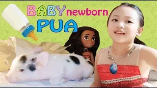 🐷 Moana Bug Pretend Play with Newborn PUA 🐽
