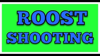 ROOST SHOOTING