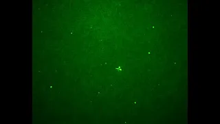 UFO hunting in May , with night vision