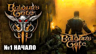 BALDURS GATE 3 #1 НАЧАЛО. Прохождение Балдурс Гейт 3 (D&D RPG) Подземелья Драконы Иллитиды!