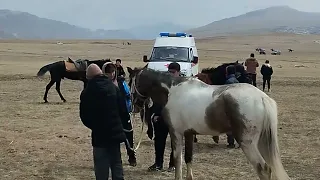 скачки в хунзахском районе