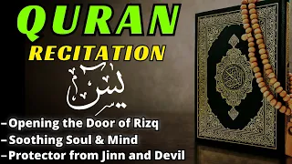 Peaceful Quran Recitation of SURAH YASEEN (EXTREMELY POWERFUL QURAN) سورة يس