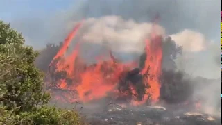 Пожар около кибуца Бейт Нир