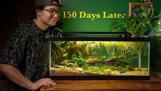 My Endler Eco-System (150 Days Later)