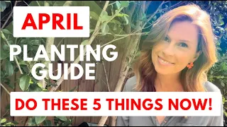 APRIL planting guide - how to grow HUGE Autumn Veggies! Melbourne - Gardening Australia