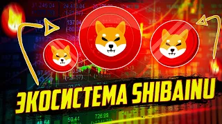 ShibaInu — экосистема с идеей Dogecoin. История появления токена, курс, перспективы.