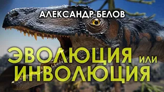 Эволюция или инволюция / Александр Белов