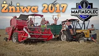 Żniwa 2017 ☆ Massey Ferguson 86 & Ursus c360 3p ☆ Godzinny Vlog GoPro #54 ㋡ Bronczek, MrAdamo15