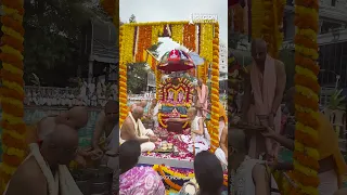 Glimpses of Panihati Mahotsava 2023 | ISKCON Bangalore #shorts