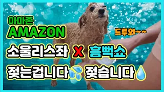 강아지 아마존 소울리스좌 X 흠뻑쇼 ▶ 젖는겁니다. 젖습니다. │ 중독성 갑 ☆ 에버랜드 아마존댄스