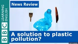 A solution to plastic pollution? BBC News Review