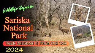 Sariska National Park| Tiger Safari India| Delhi To Jaipur |Tiger In Jungle Safari| Delhi Jaipur