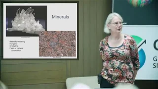 Lecture: Environmental Minerals: Bacteria, Worms, Dusts, Toxins and the Human Body