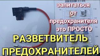 Разветвитель  Предохранителей в авто #папанадвоих